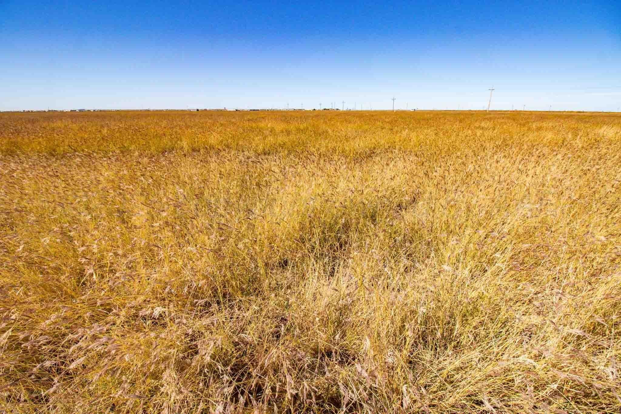 1,207.26 acres in Carson County - photo 48