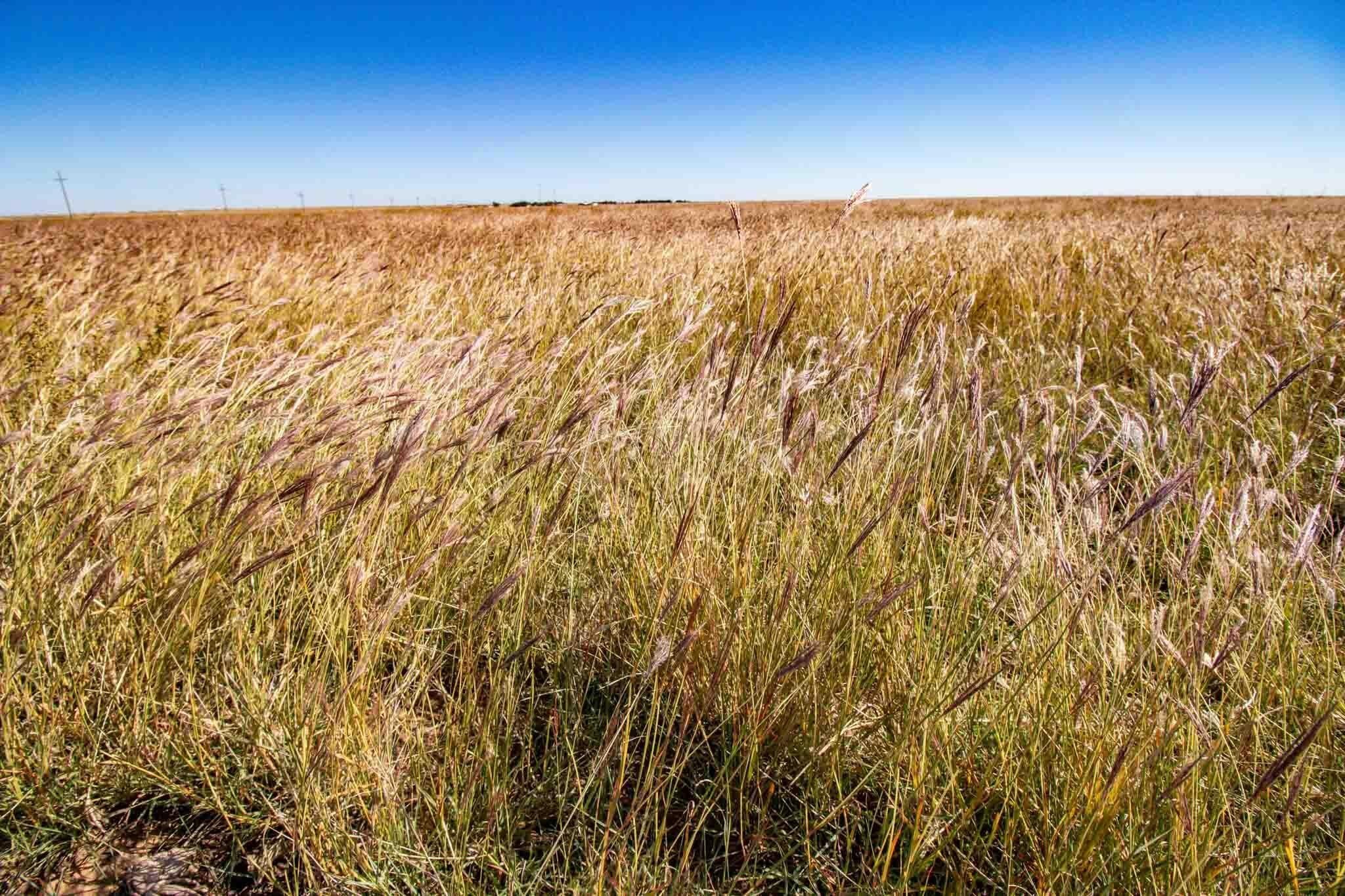 1,207.26 acres in Carson County - photo 47