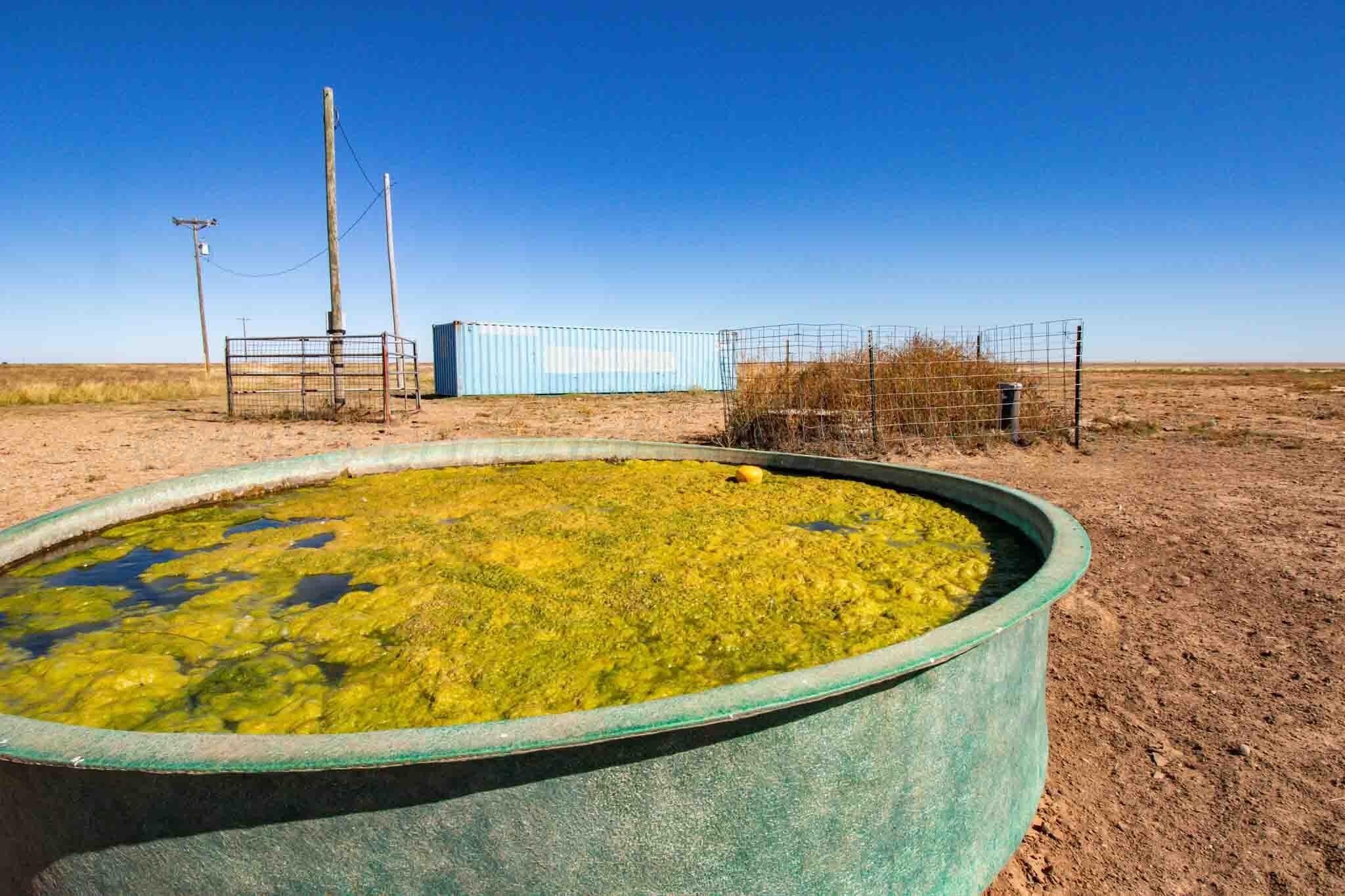 1,207.26 acres in Carson County - photo 44