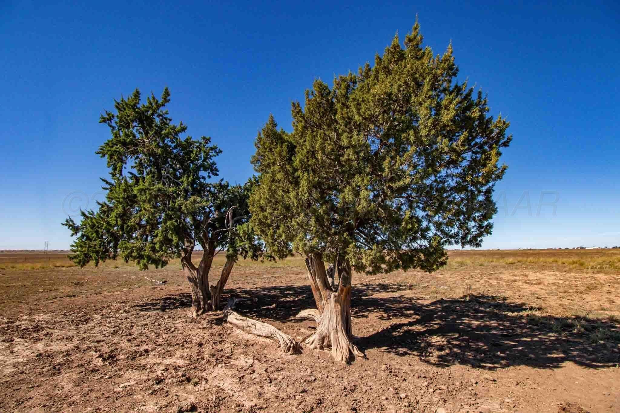 1,207.26 acres in Carson County - photo 45