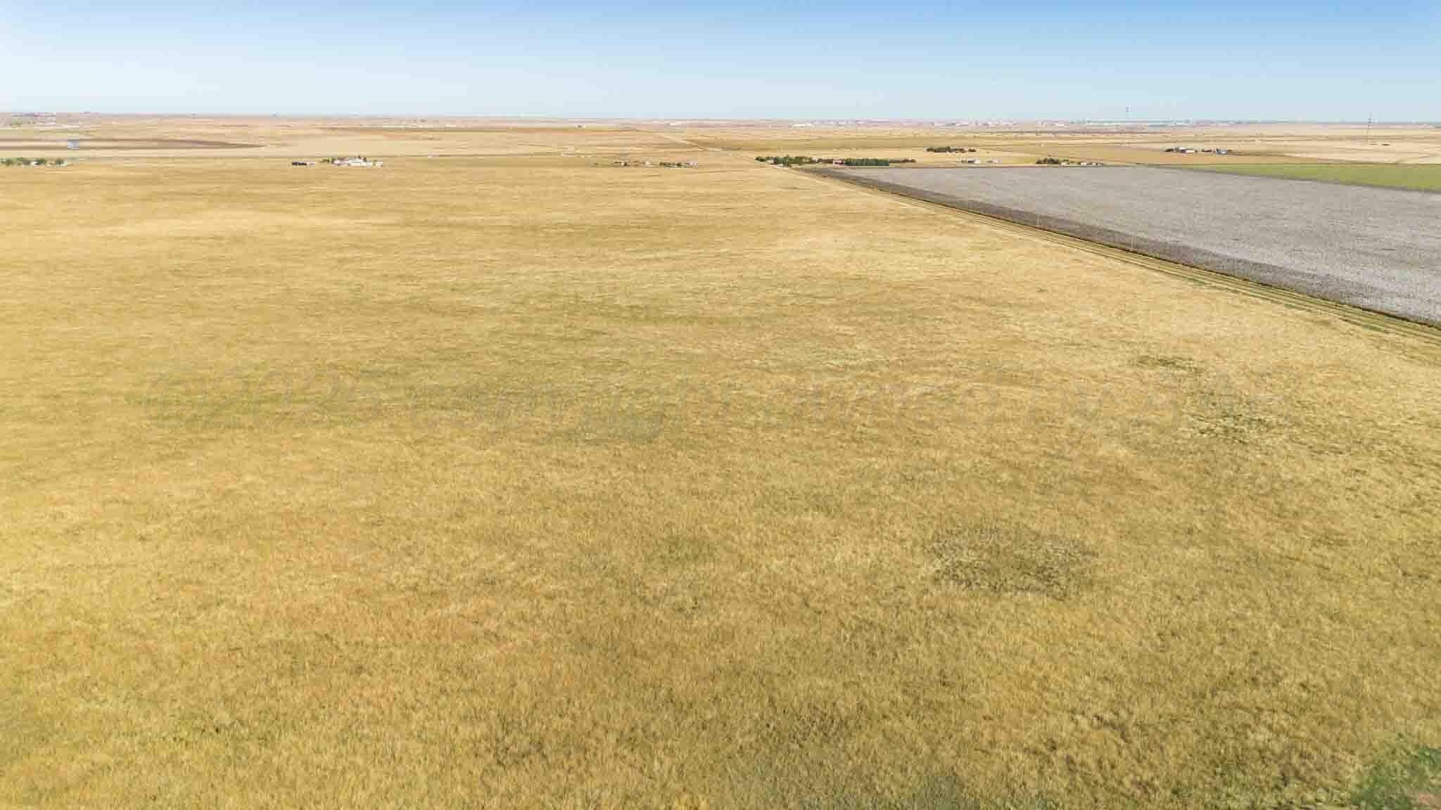 1,207.26 acres in Carson County - photo 11