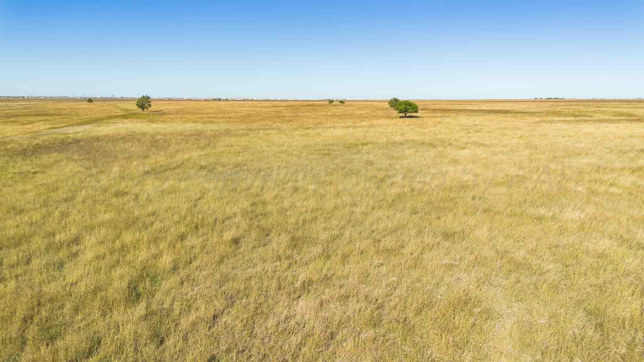1,207.26 acres in Carson County - photo 8