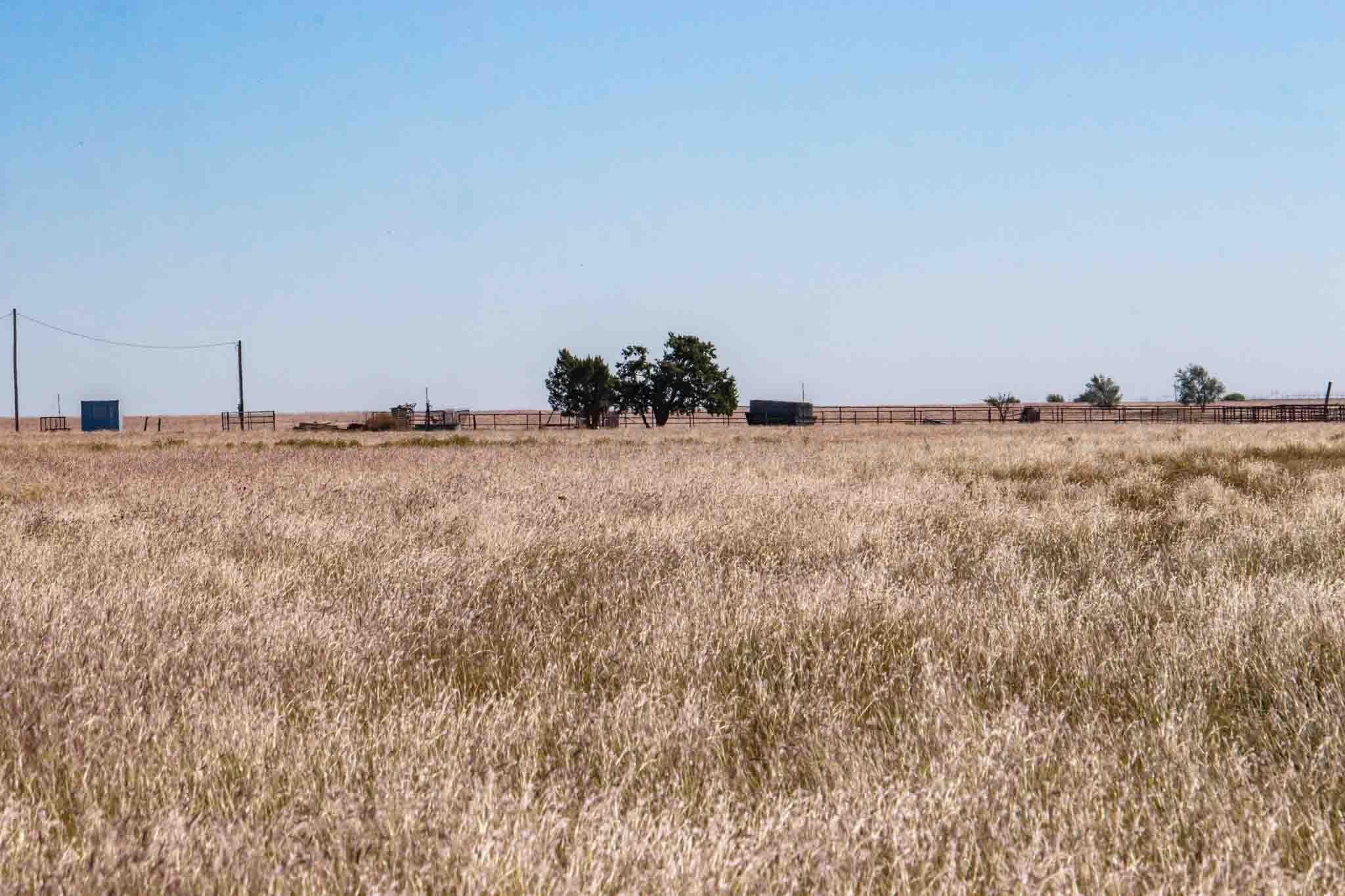 1,207.26 acres in Carson County - photo 31