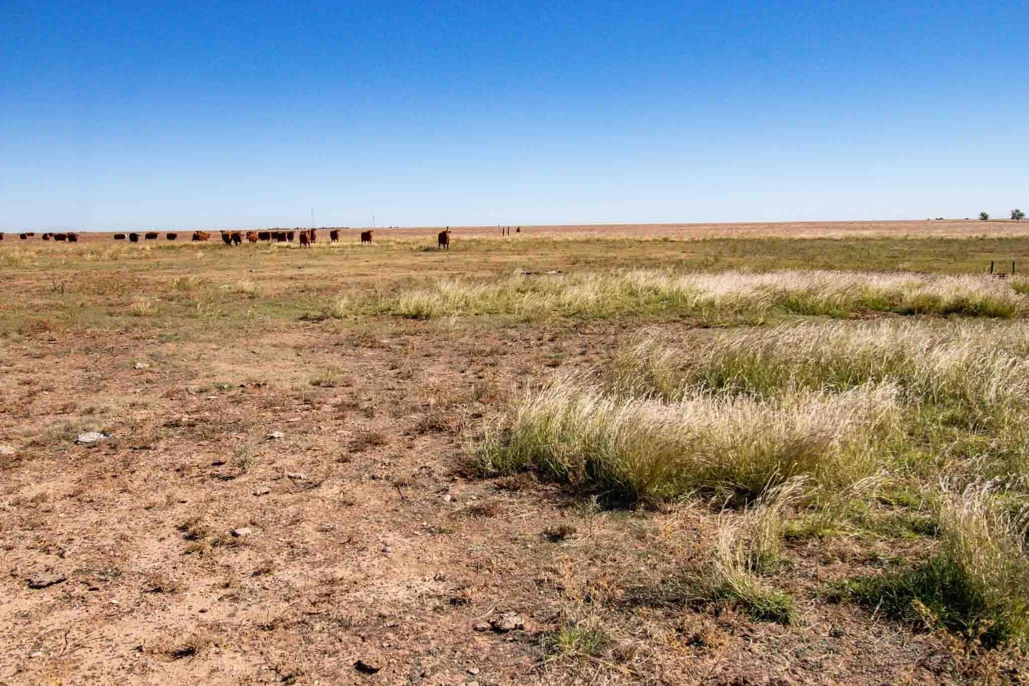 1,207.26 acres in Carson County - photo 41