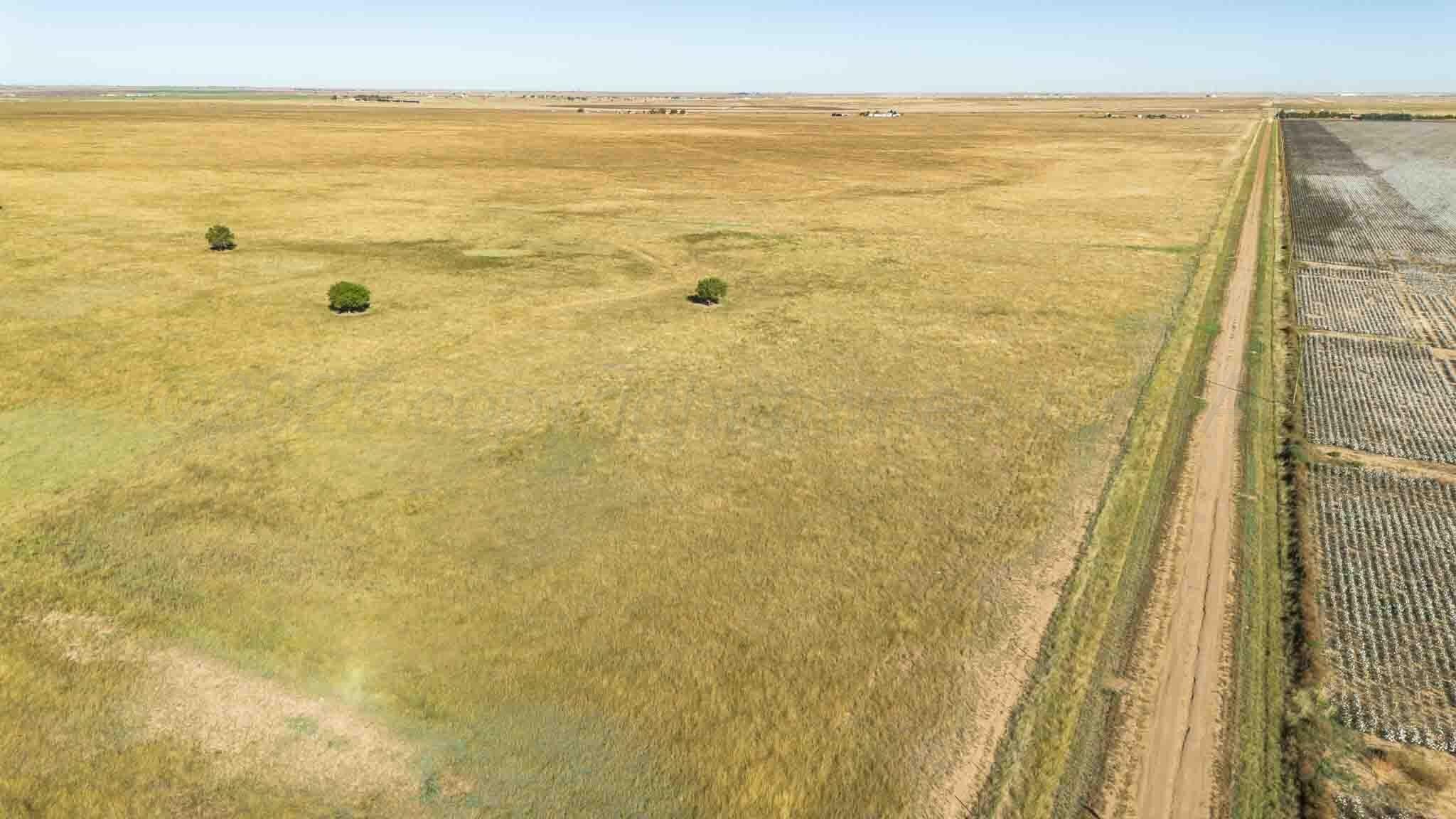 1,207.26 acres in Carson County - photo 7