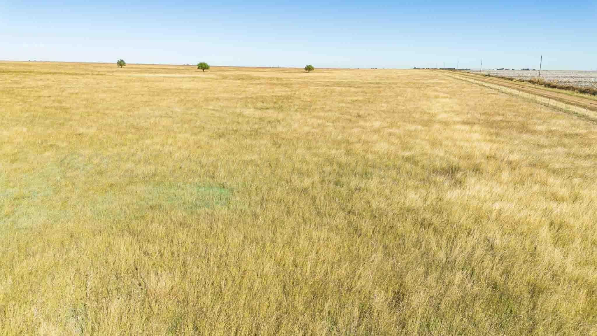 1,207.26 acres in Carson County - photo 24