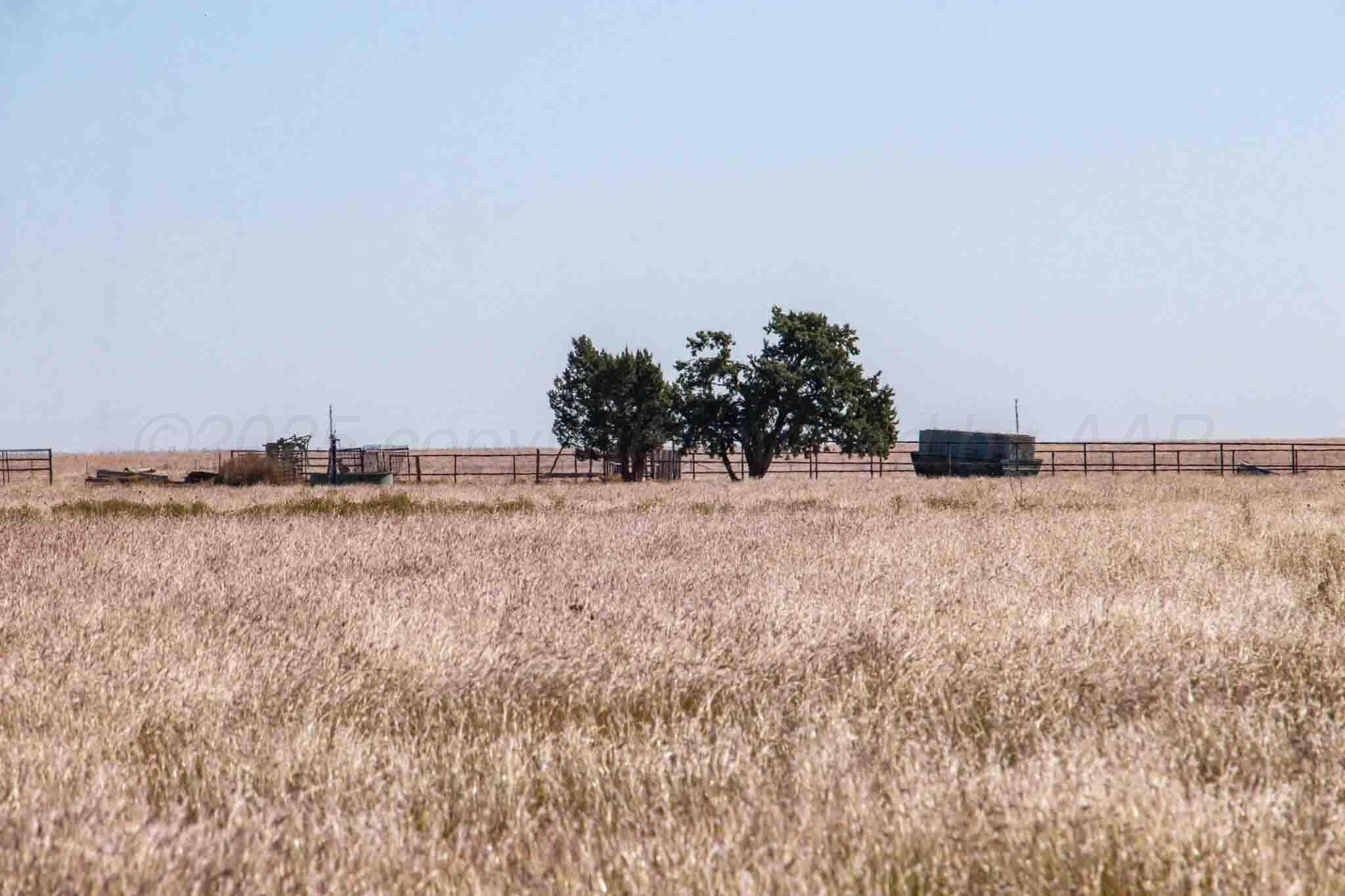 1,207.26 acres in Carson County - photo 30