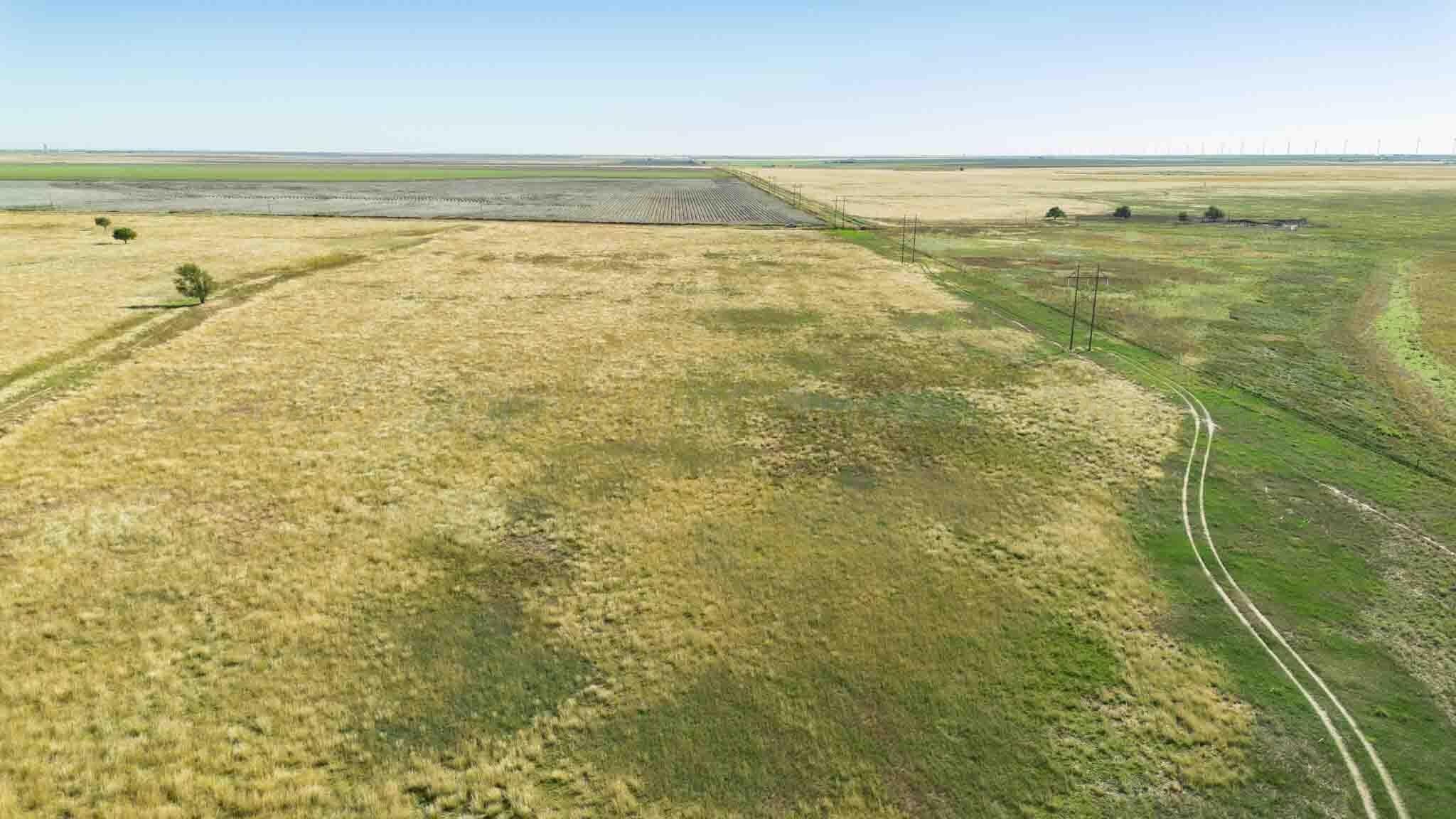 1,207.26 acres in Carson County gallery image 2