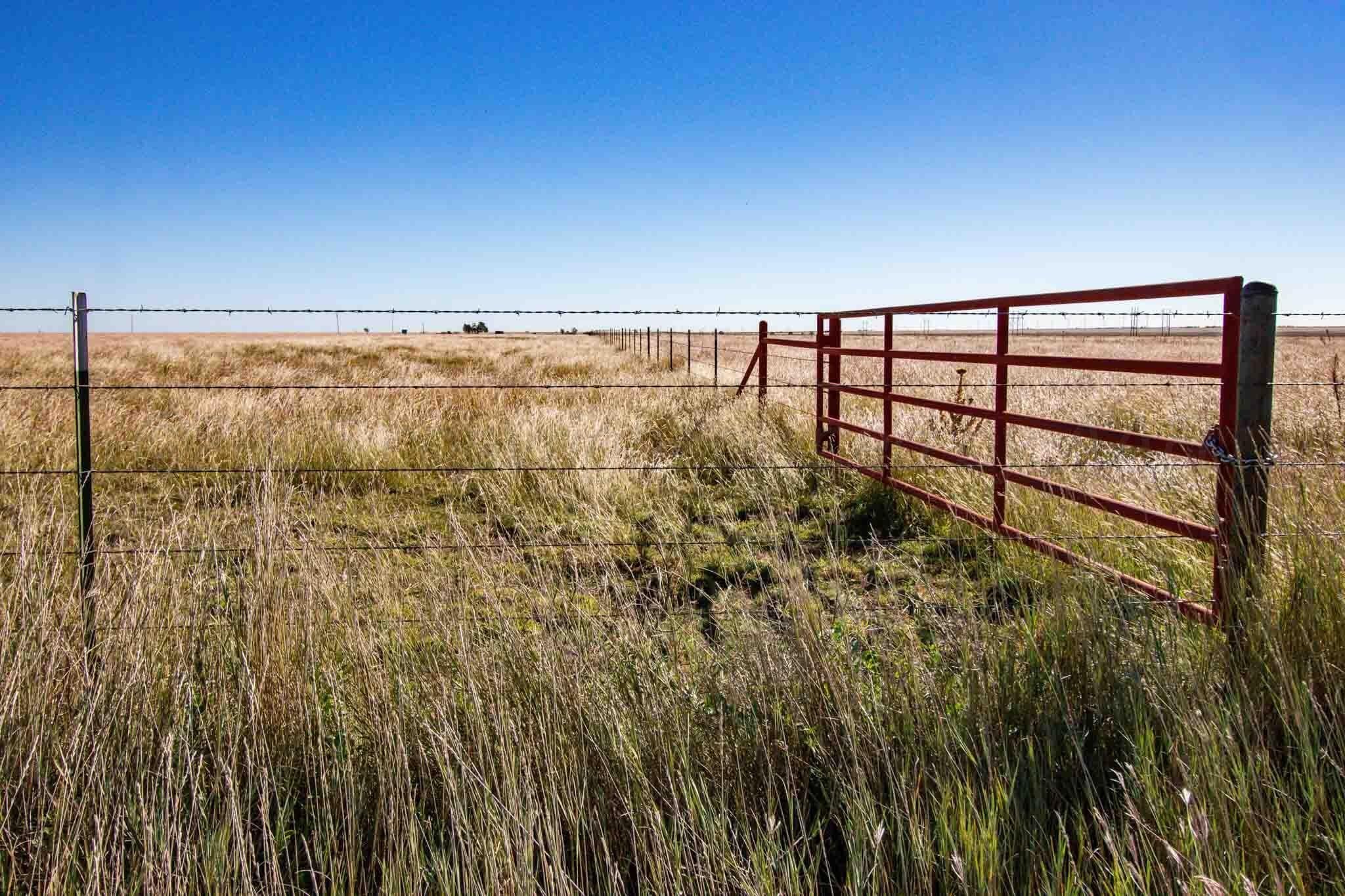 1,207.26 acres in Carson County - photo 27