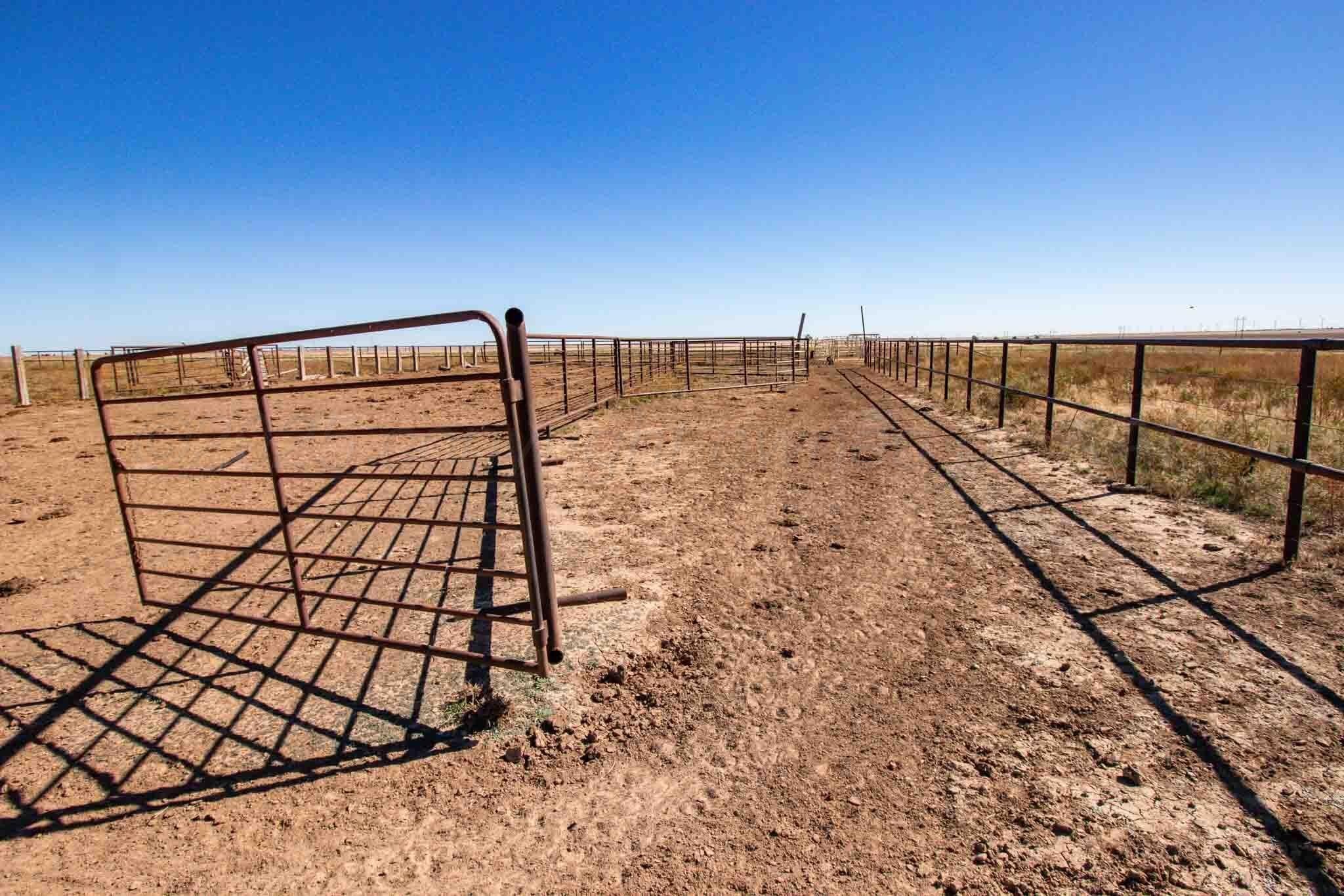 1,207.26 acres in Carson County - photo 37