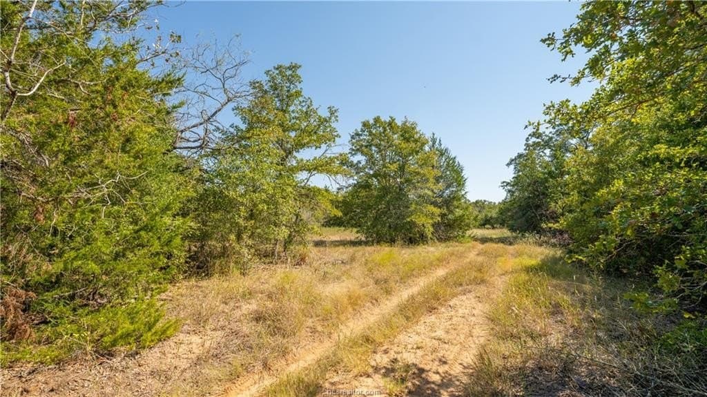 109 acres in Burleson County gallery image 2
