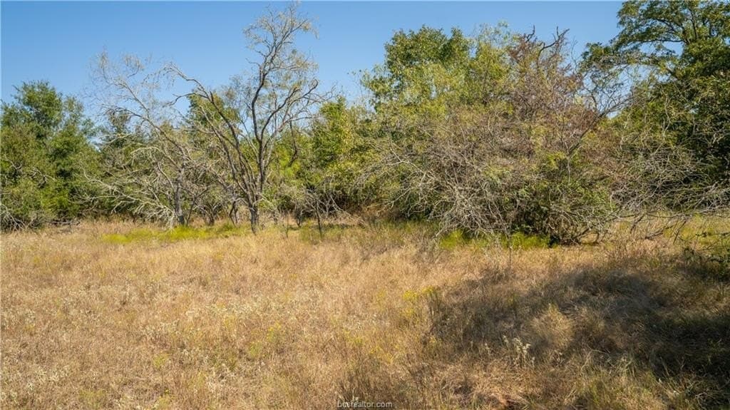 109 acres in Burleson County gallery image 3