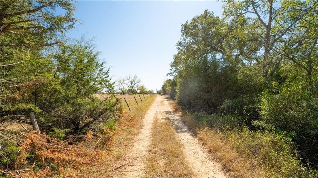 109 acres in Burleson County gallery image 4