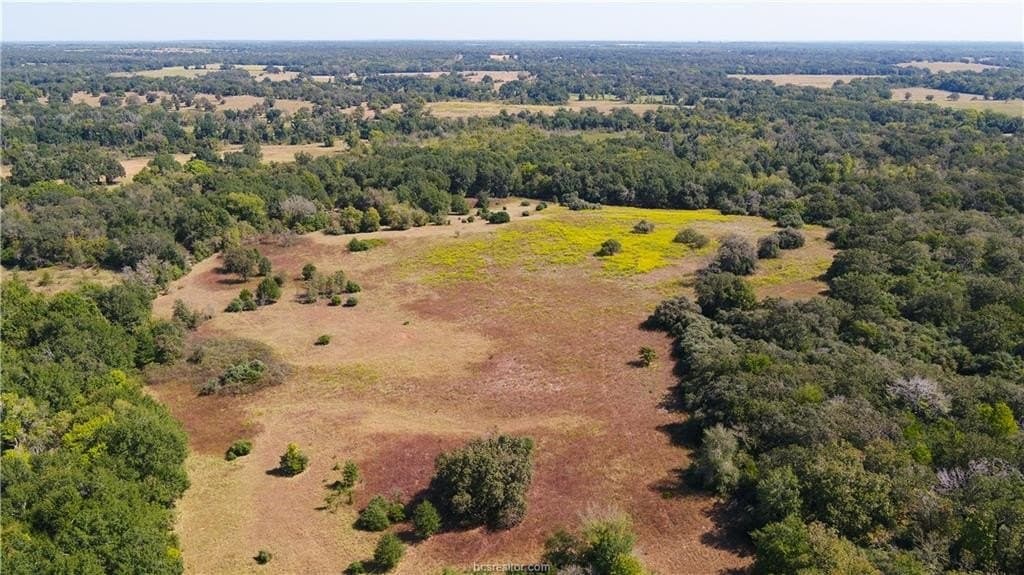 109 acres in Burleson County