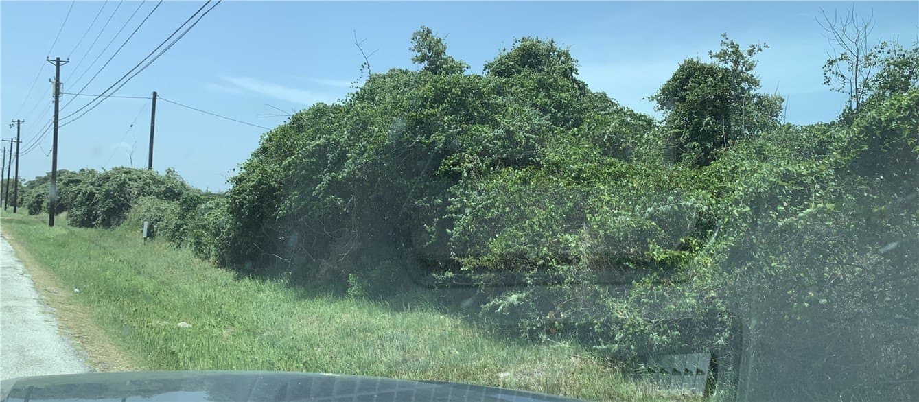 19.33 acres in Nueces County featured view