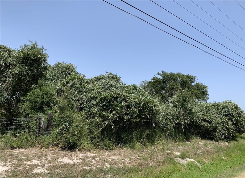 19.33 acres in Nueces County gallery image 4