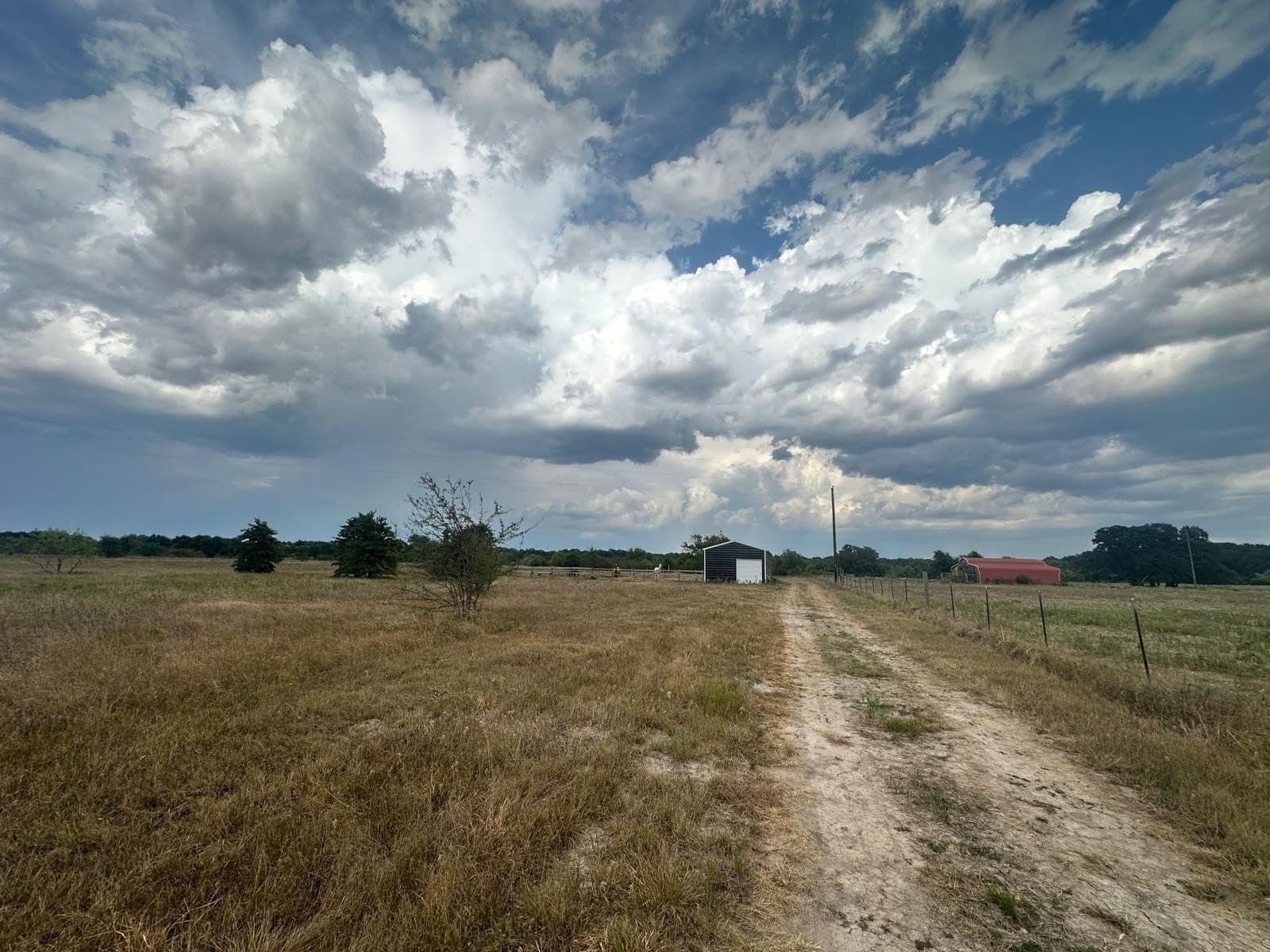 15.19 acres in Henderson County - photo 14
