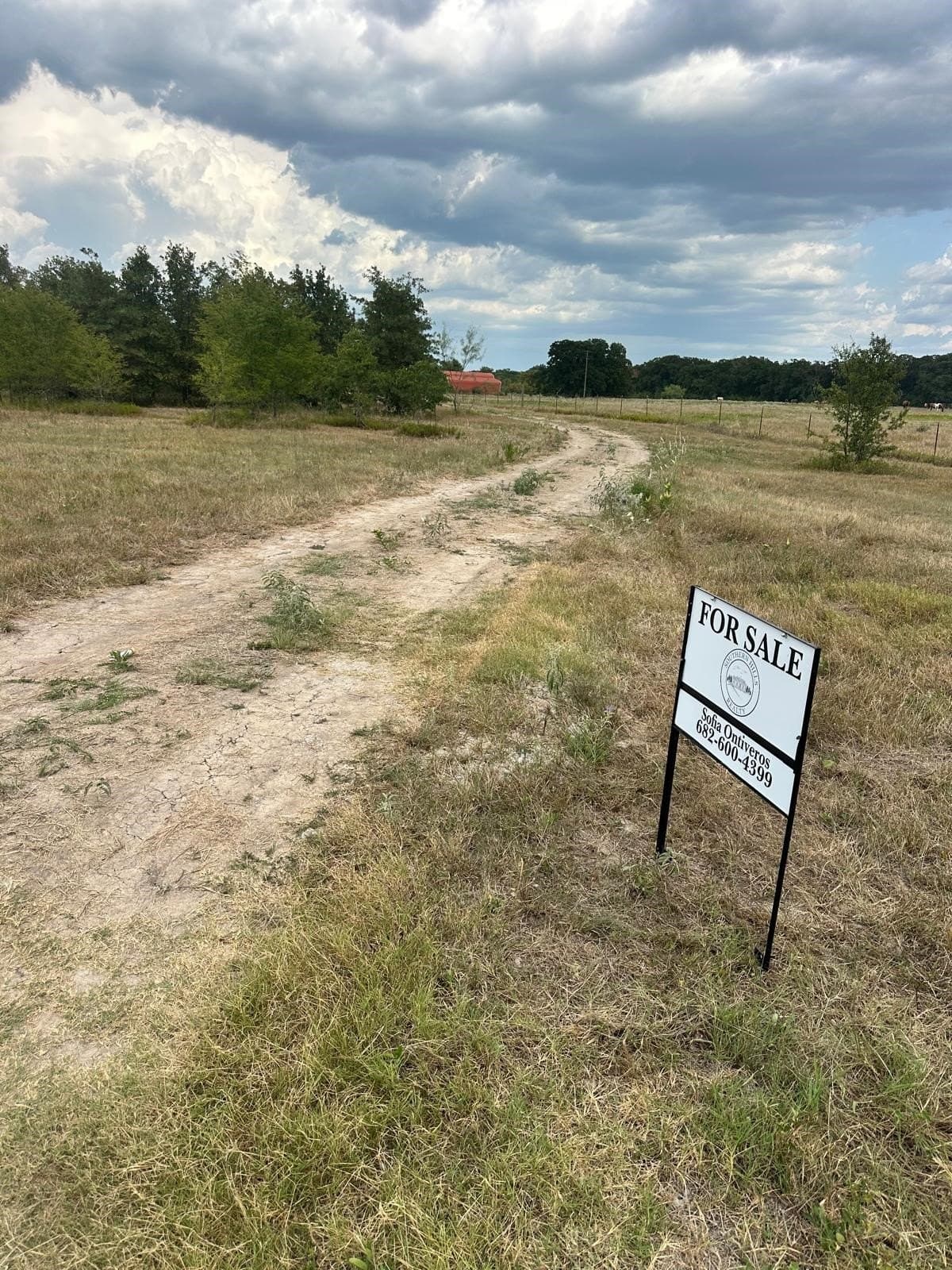 15.19 acres in Henderson County - photo 9