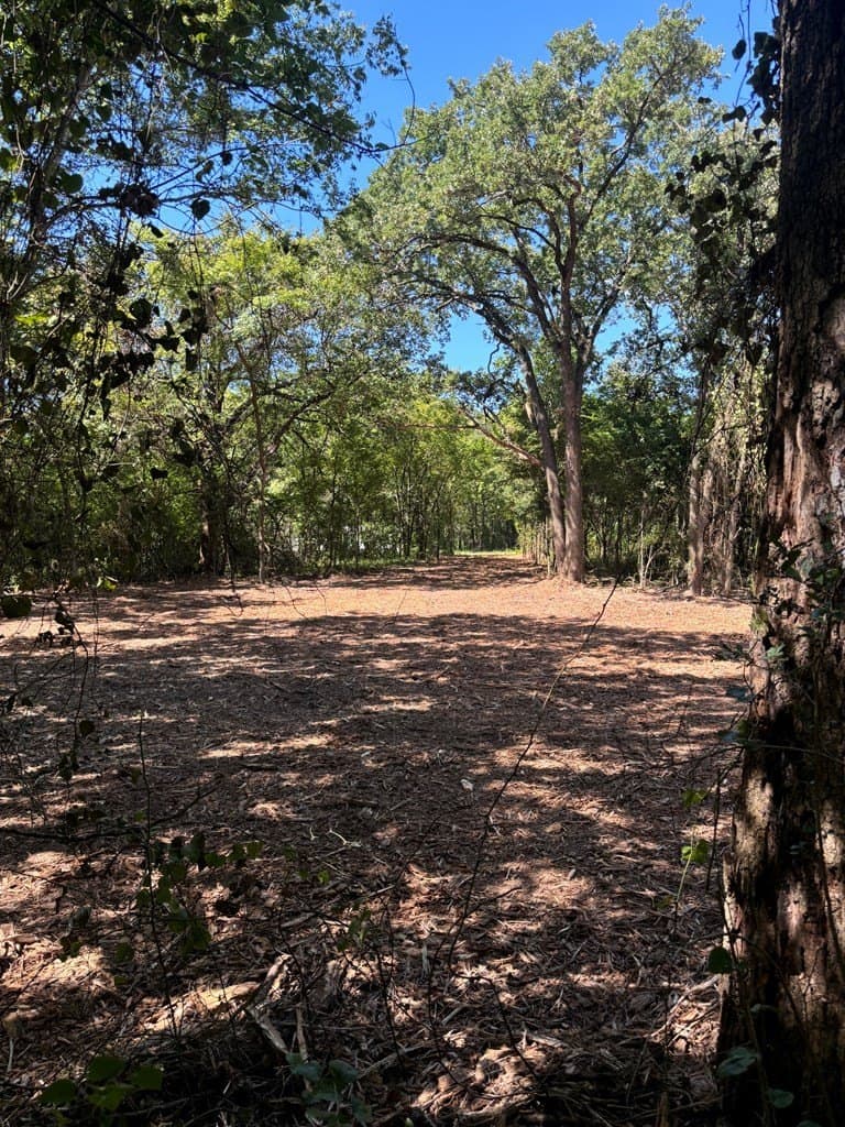 0.96 acres in Henderson County - photo 8