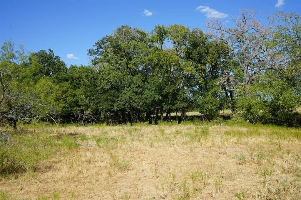 7.28 acres in Milam County gallery image 2