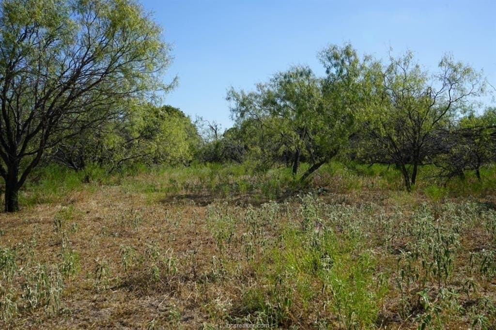 7.28 acres in Milam County - photo 6