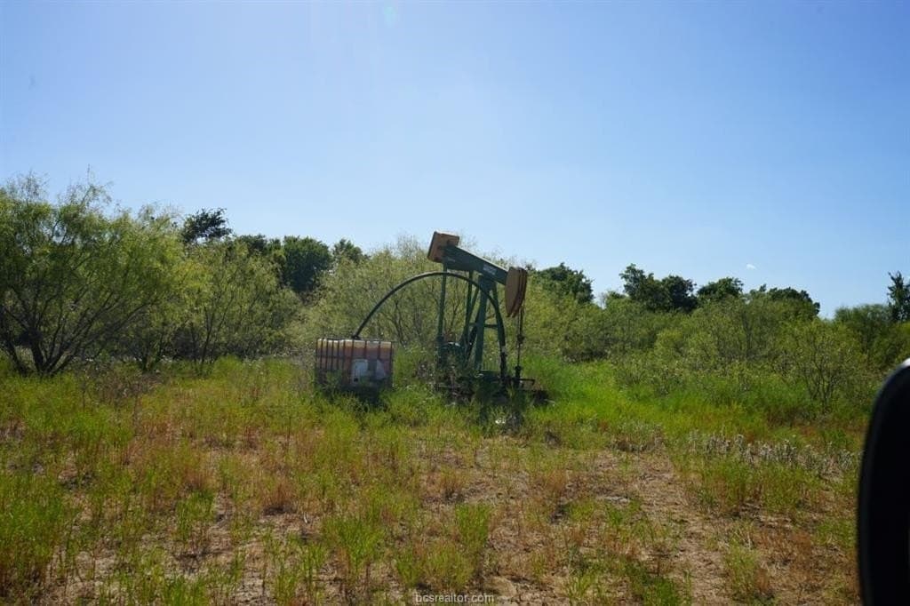 7.28 acres in Milam County - photo 9