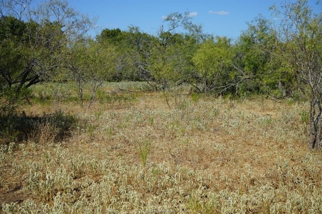7.28 acres in Milam County gallery image 3