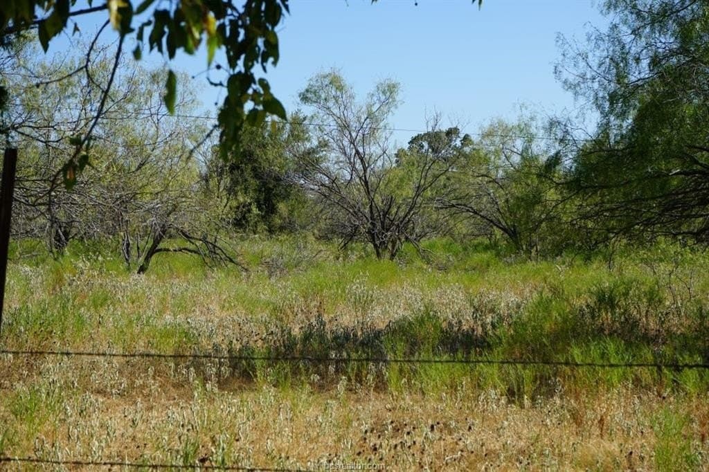 7.28 acres in Milam County - photo 8