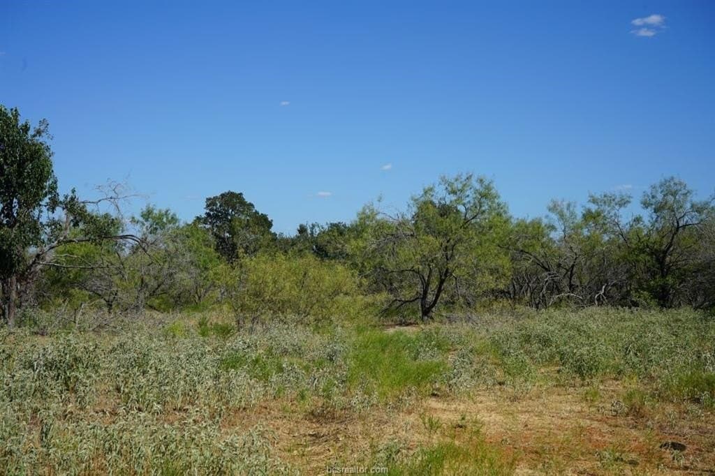 7.28 acres in Milam County featured view