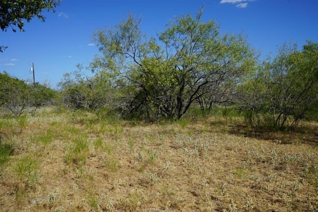 7.28 acres in Milam County gallery image 4