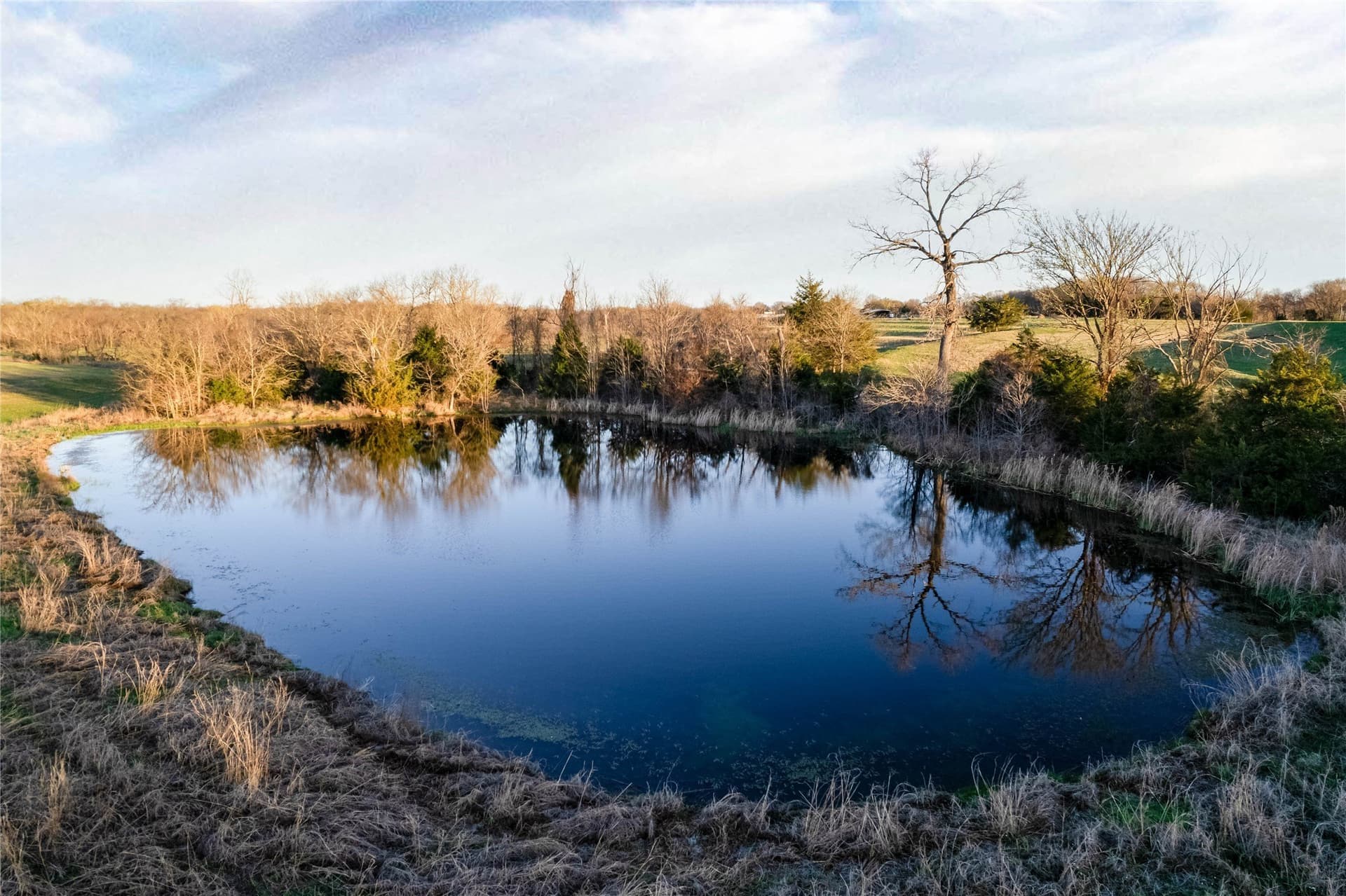 21.05 acres in Collin County - photo 10