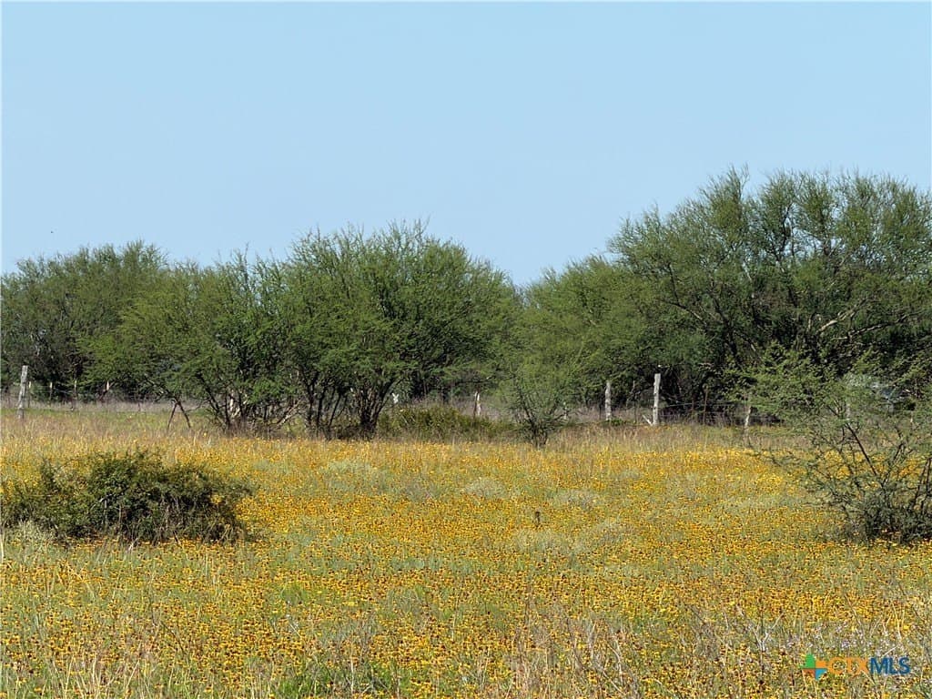 5.01 acres in Victoria County - photo 9