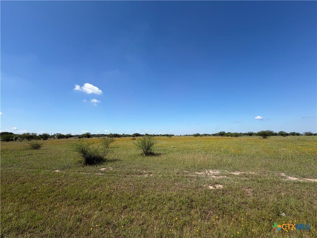 5.01 acres in Victoria County gallery image 3