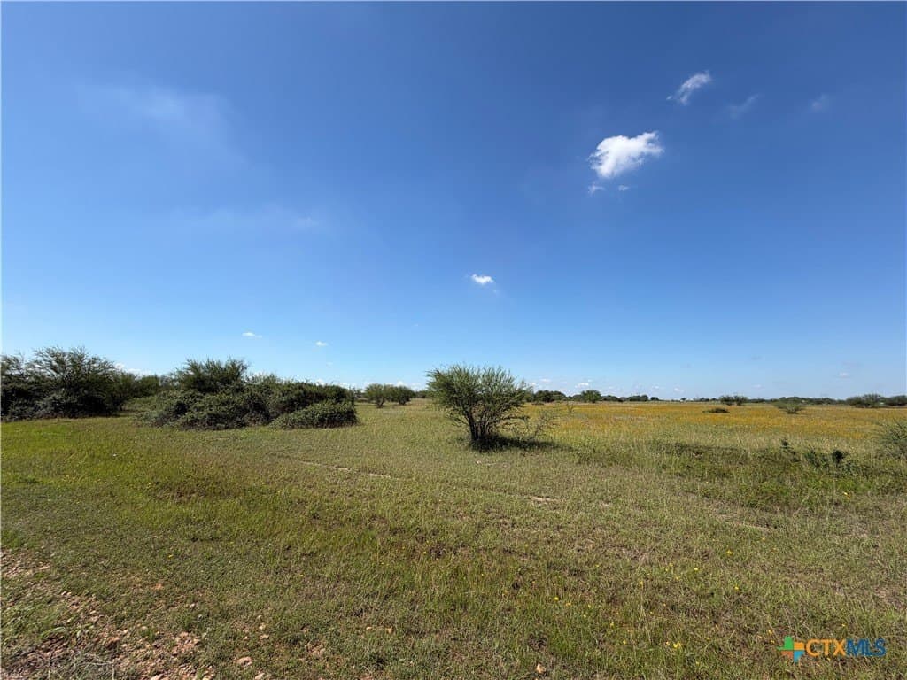 5.01 acres in Victoria County - photo 10