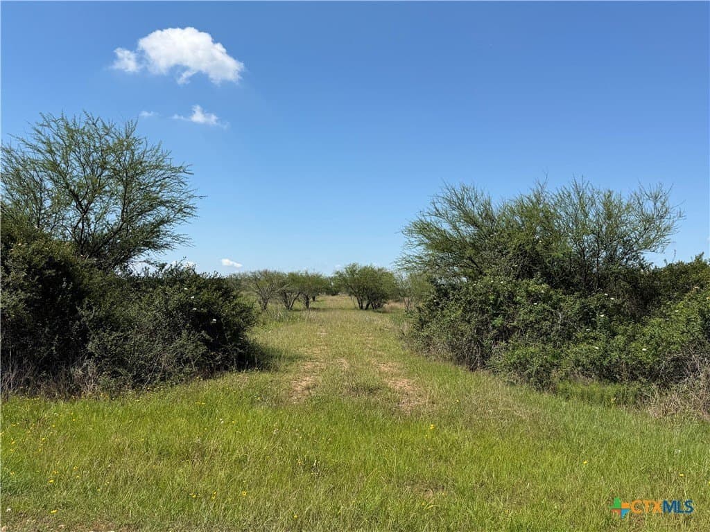 5.01 acres in Victoria County gallery image 2
