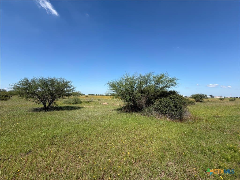5.01 acres in Victoria County - photo 7