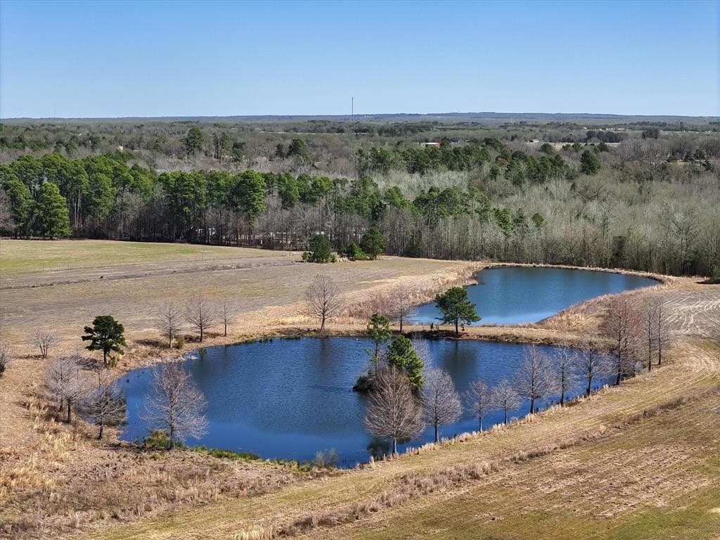 26.69 acres in Van Zandt County gallery image 4