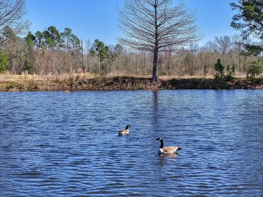 26.69 acres in Van Zandt County