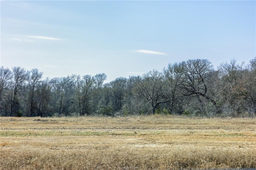 1 acres in Burleson County - photo 9