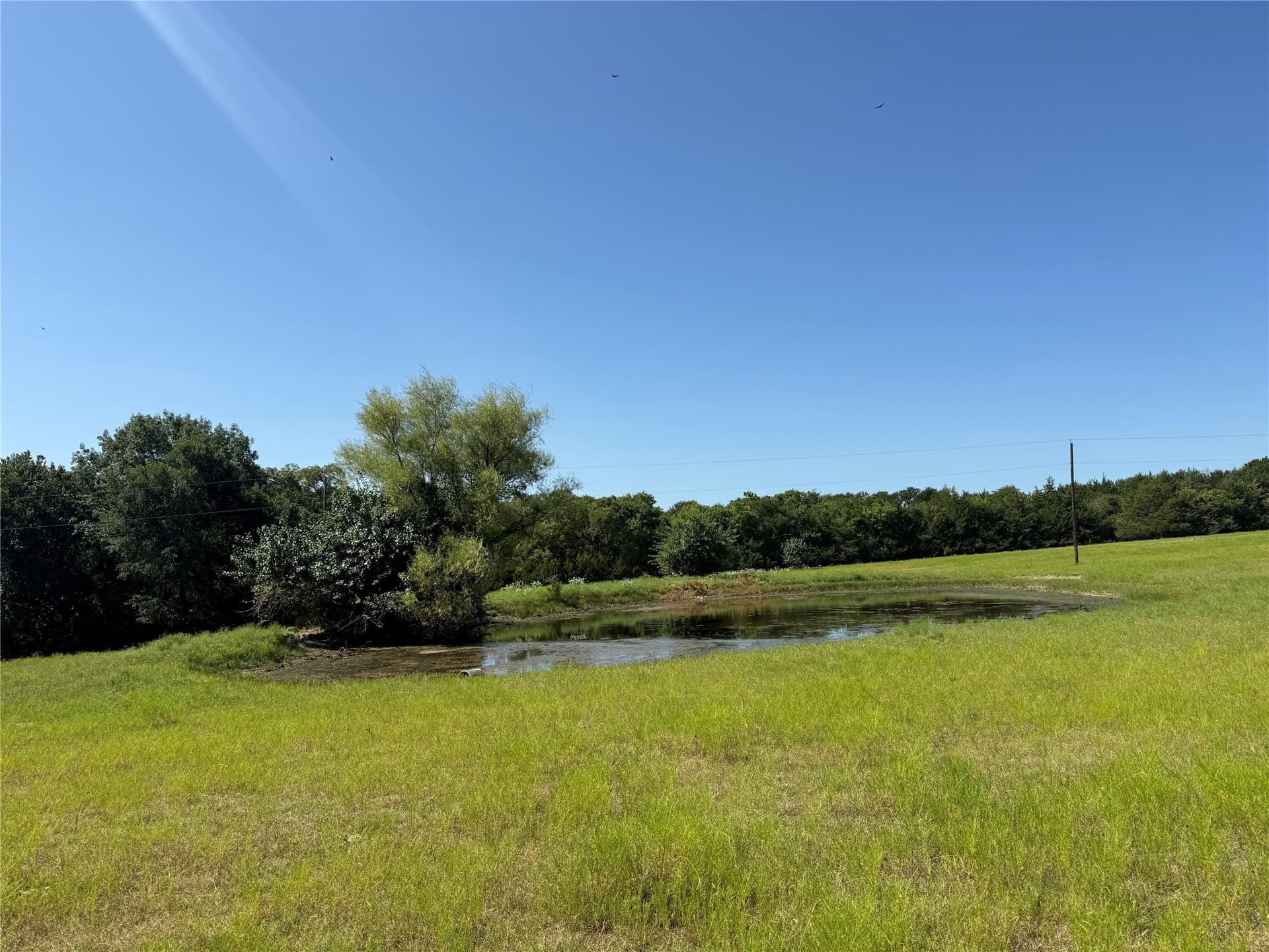 24.92 acres in Fannin County - photo 4