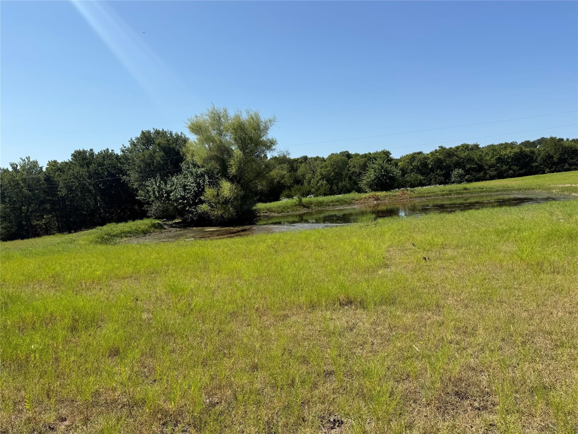 24.92 acres in Fannin County - photo 3