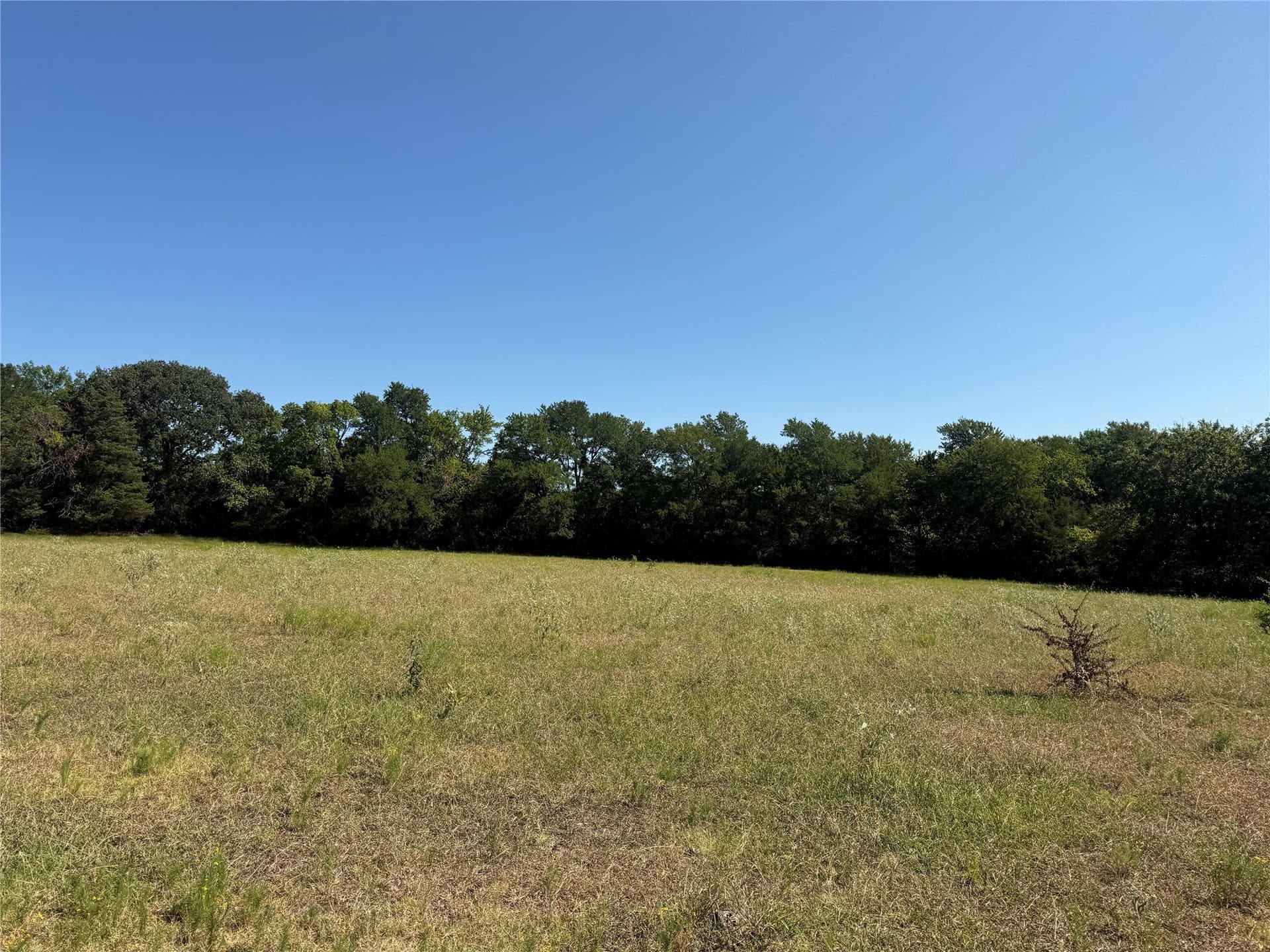 24.92 acres in Fannin County - photo 9