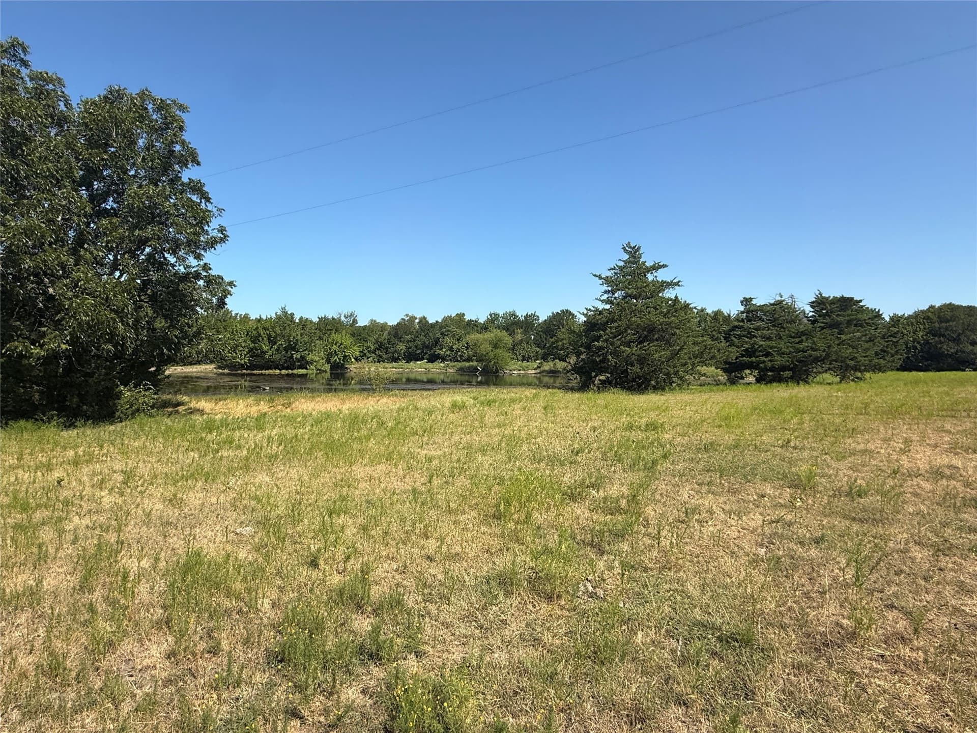 24.92 acres in Fannin County - photo 5