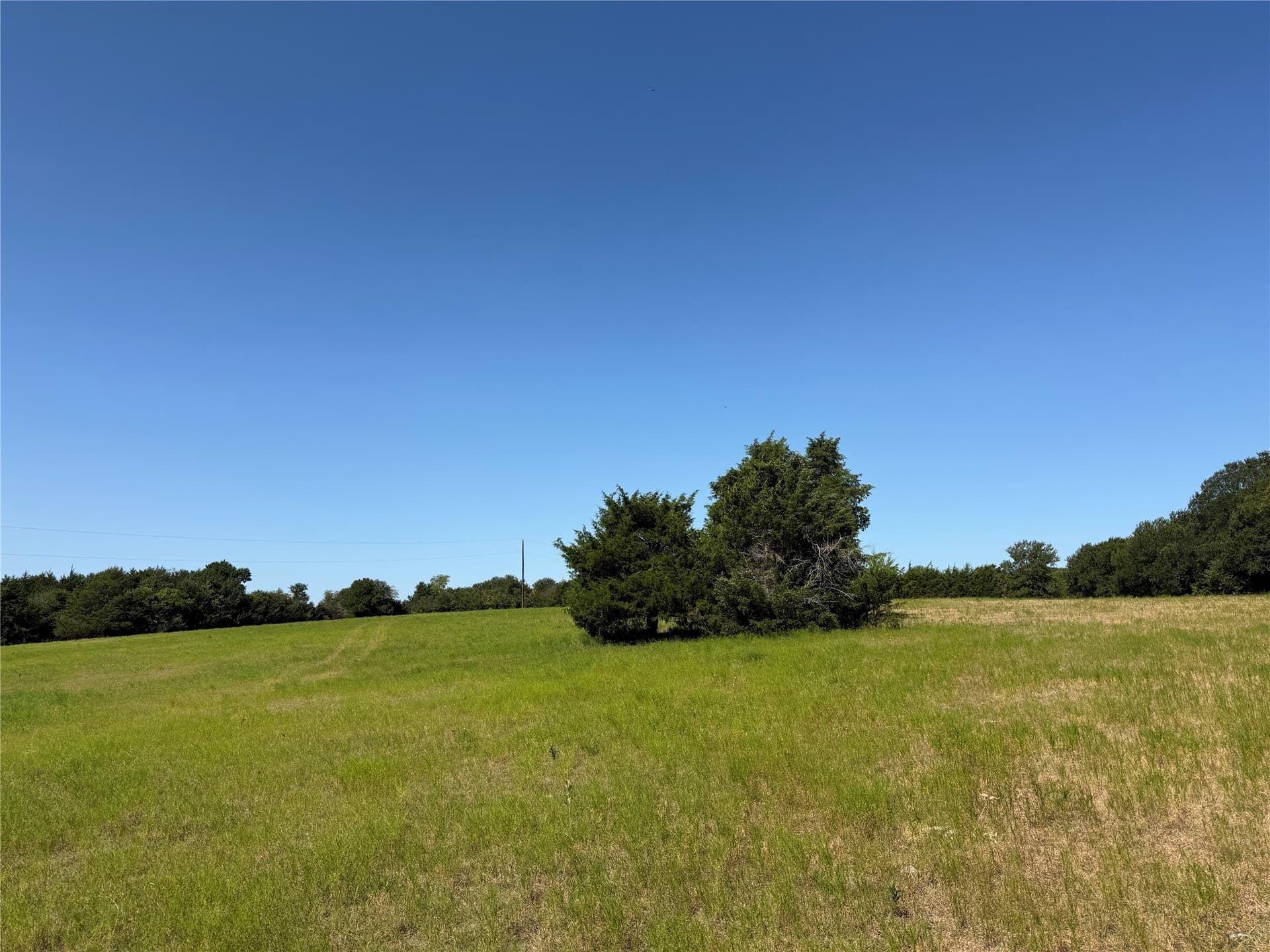 24.92 acres in Fannin County - photo 2
