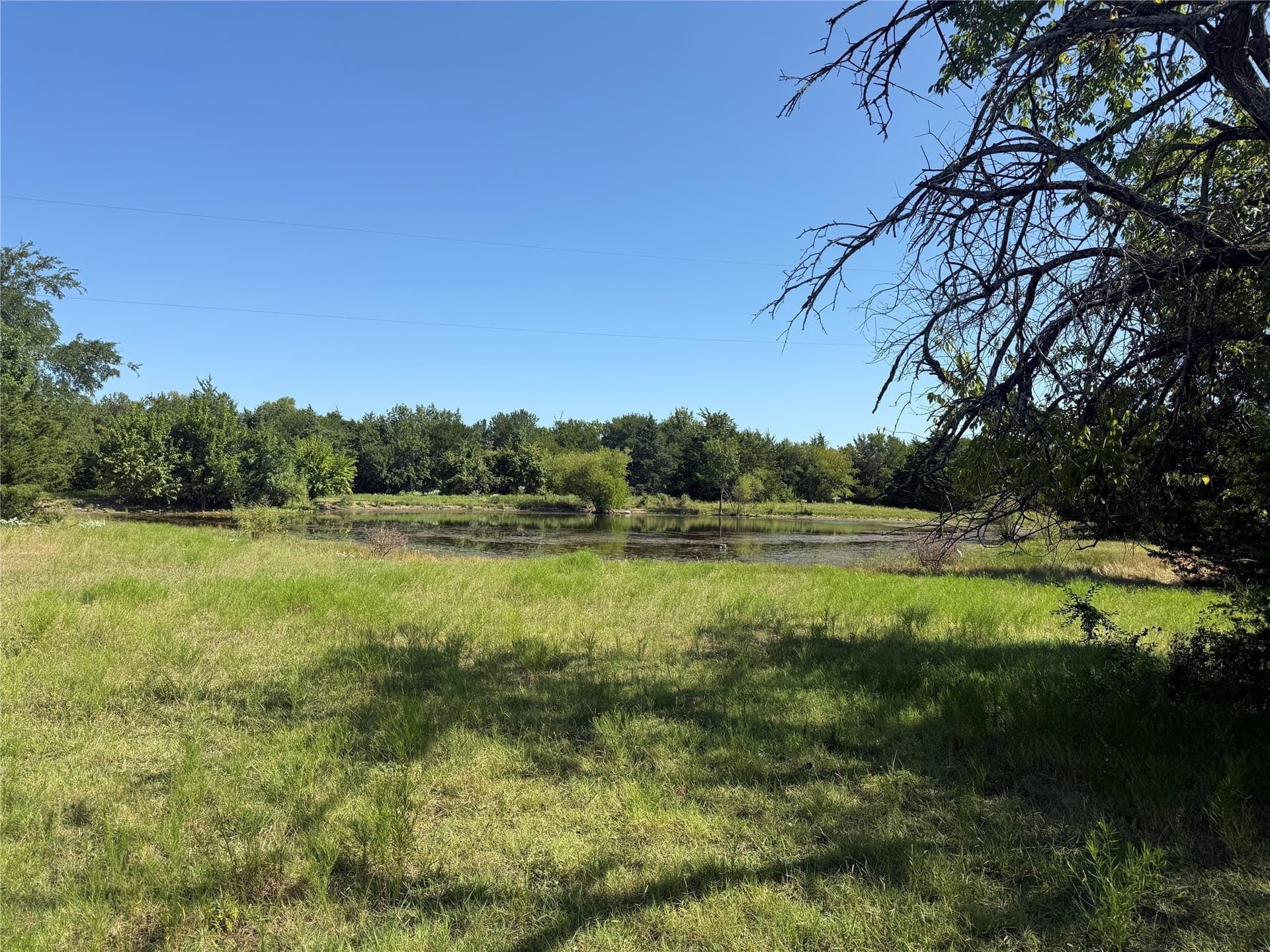 24.92 acres in Fannin County - photo 7