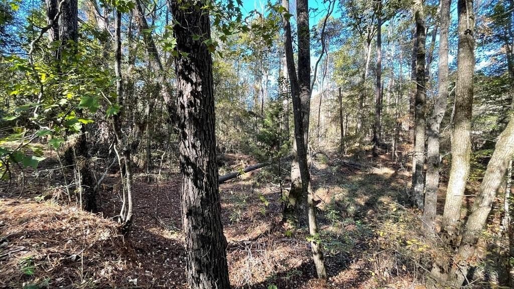 0.56 acres in Texas County gallery image 2