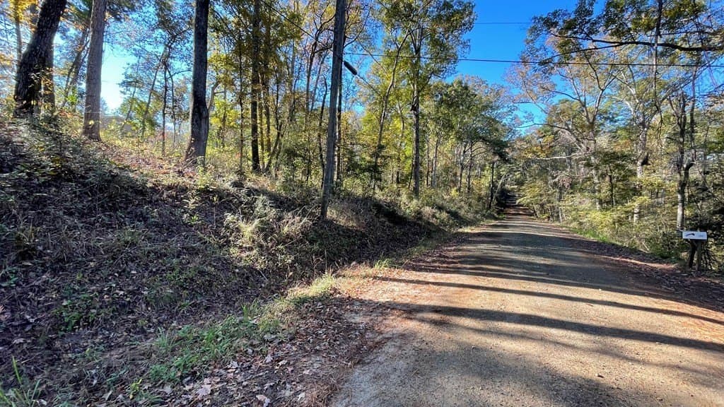 0.56 acres in Texas County gallery image 3