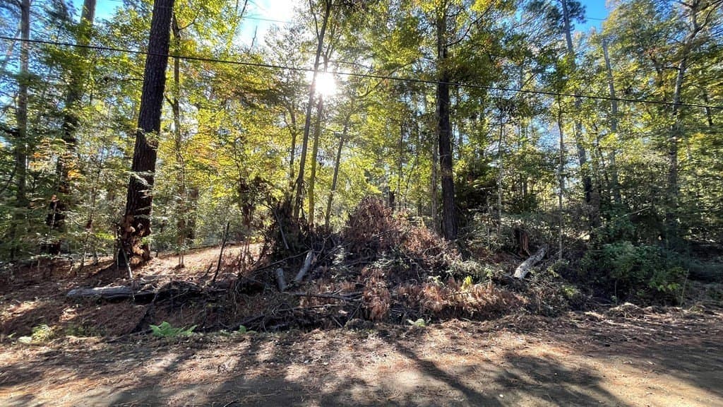 0.56 acres in Texas County featured view