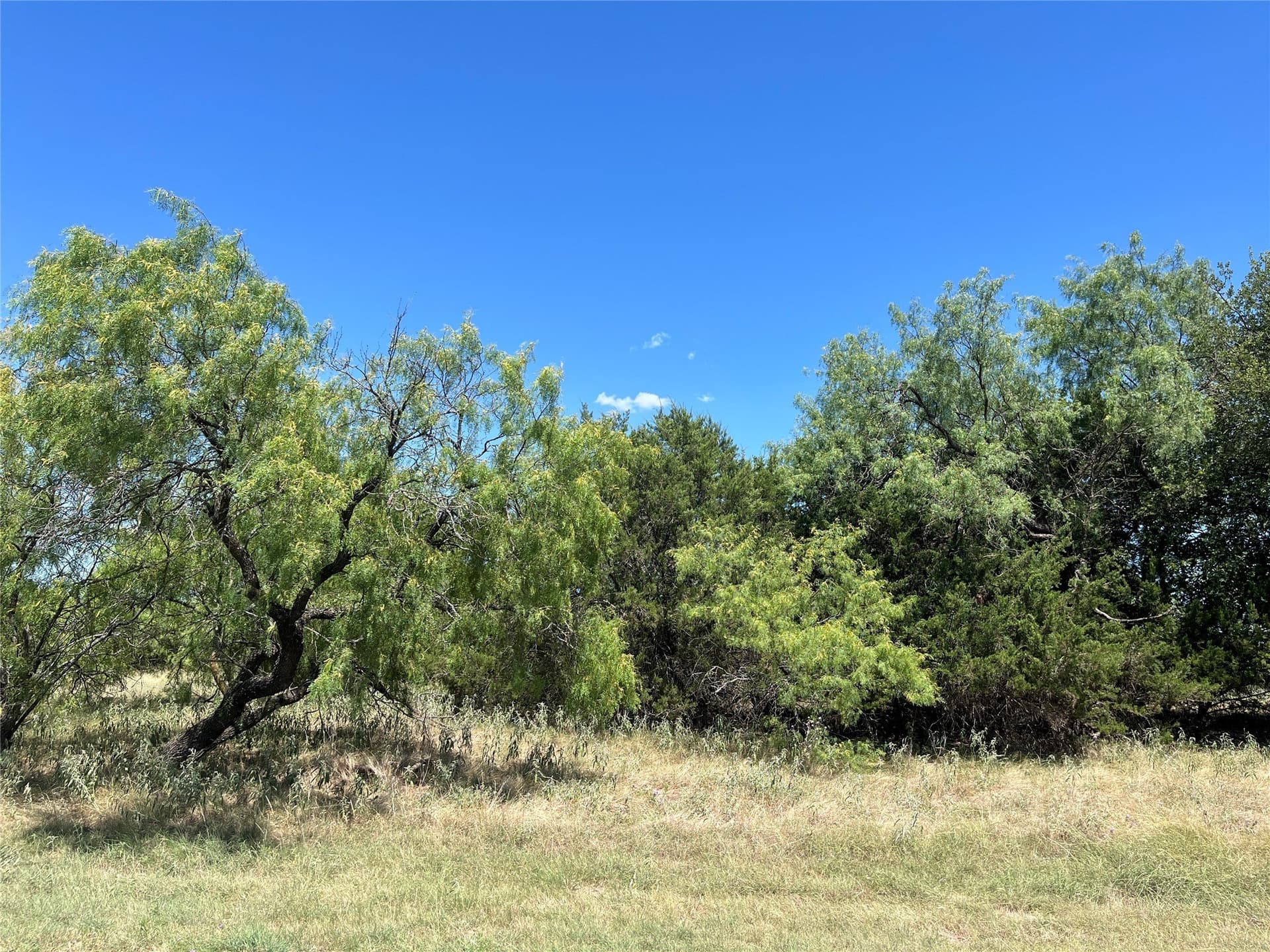 0.13 acres in Hill County - photo 3