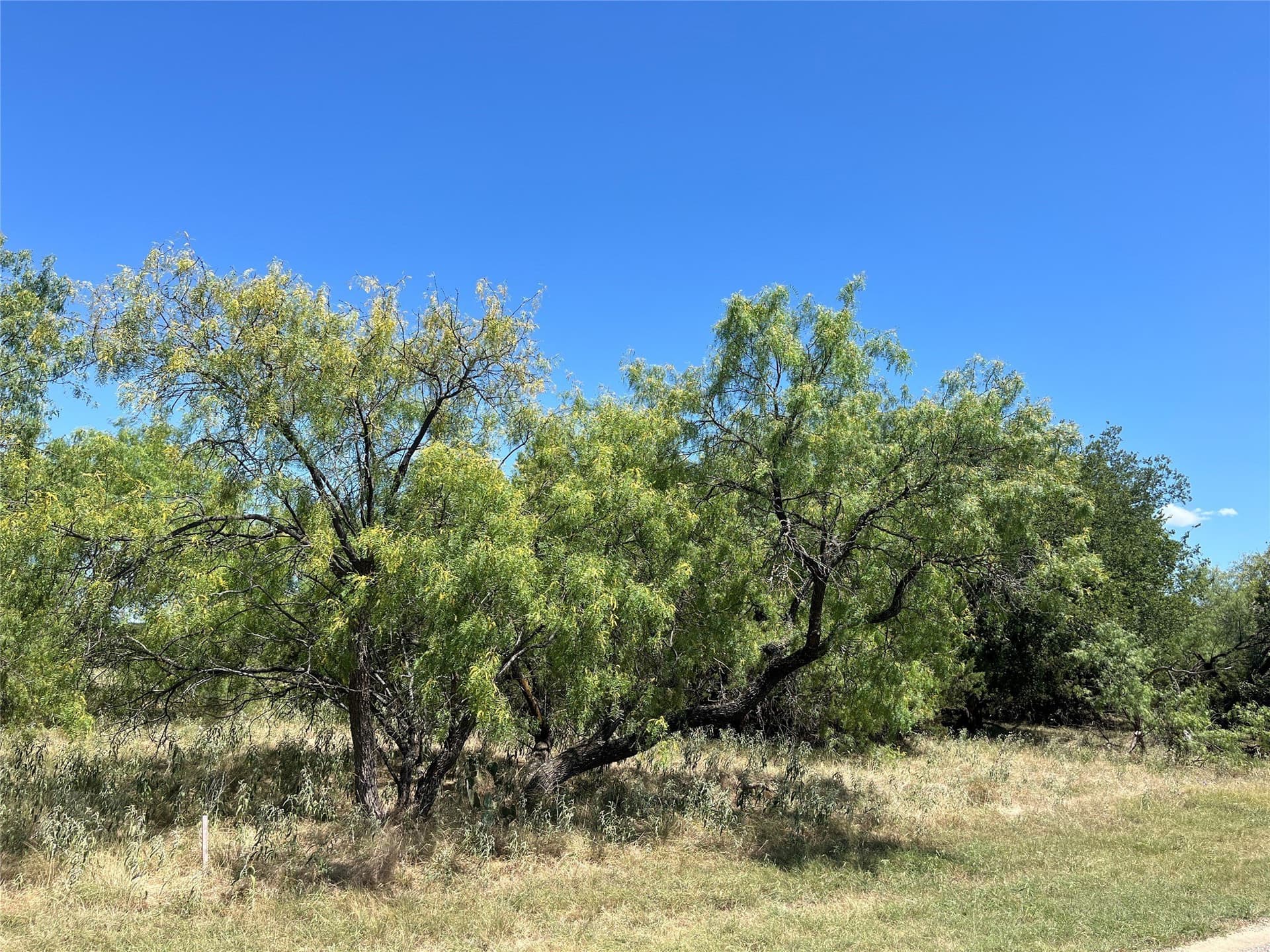 0.13 acres in Hill County - photo 2